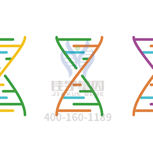 【眼科遗传病】<font color='red'>BEST</font>病基因解码、<a href=http://www.szyjgc.com/tk/jiema/cexujishu/2021/31933.html>基因检测</a>