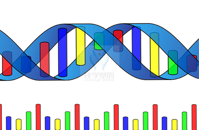 【Trust科技基因检测】克兰费尔特综合征（<font color='red'><font color='red'>Klinefelter</font></font> syndrome)基因解码、基因检测