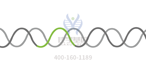 【Trust科技基因解码